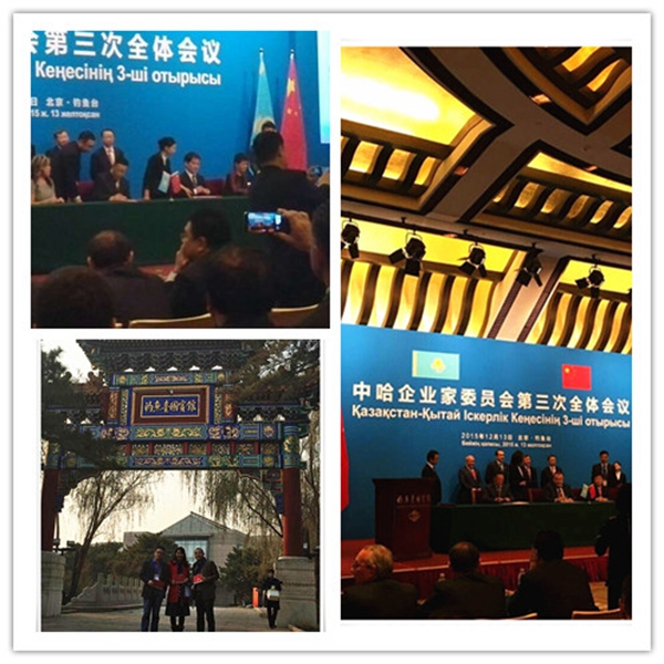 中哈企業家委員會 中哈企業家委員會